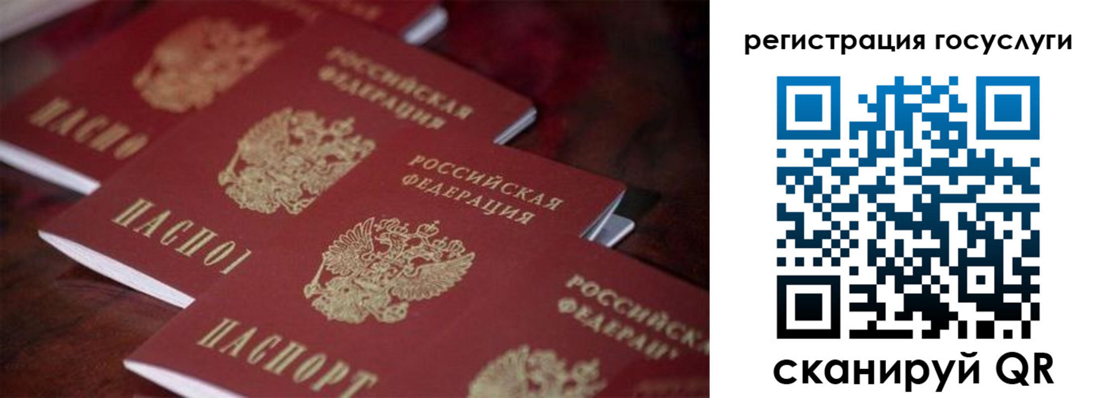 где прописаться в Невеле